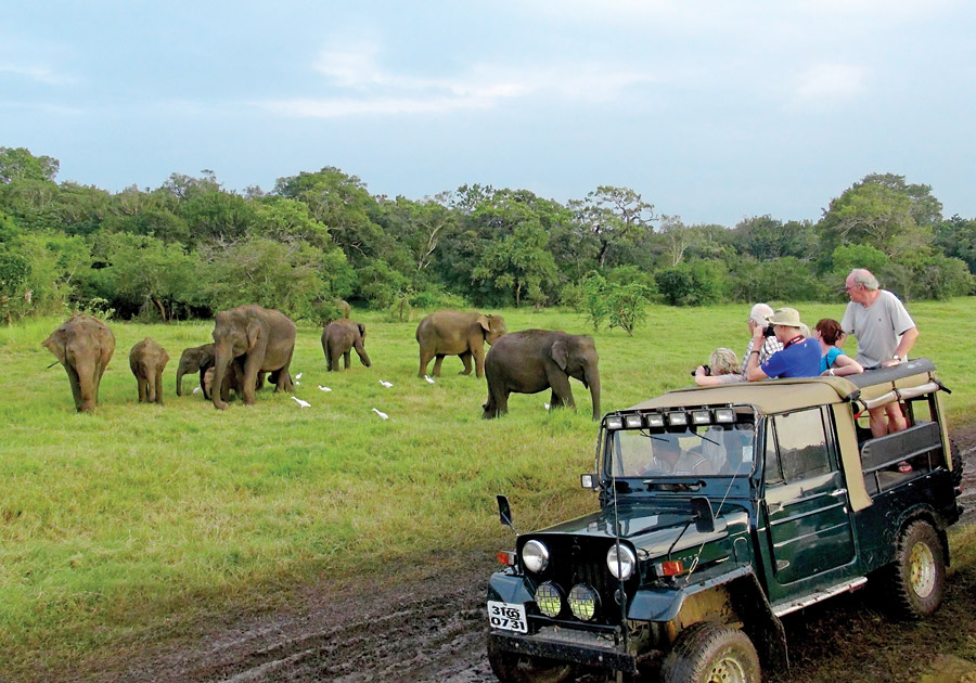 Image result for srilanka jeep safari